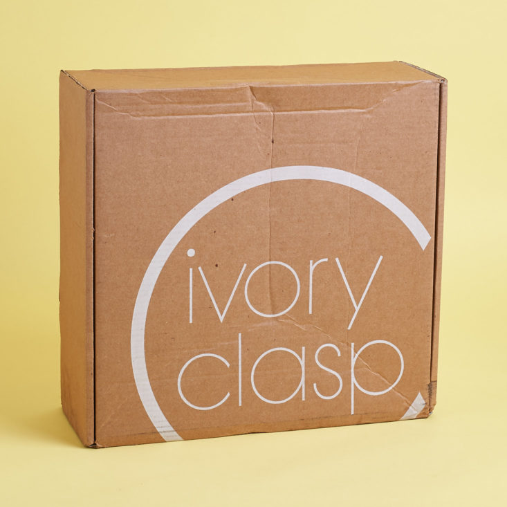 What handbag did I get in this month's Ivory Clasp purse subscription box?