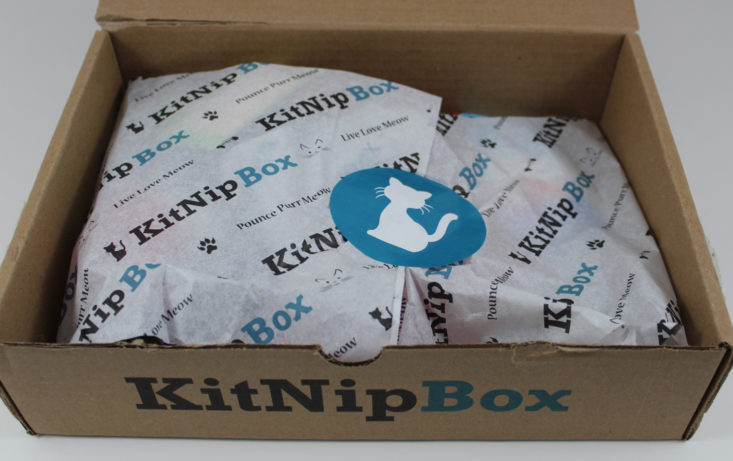 Kitnipbox September 2017 Cat Subscription Box