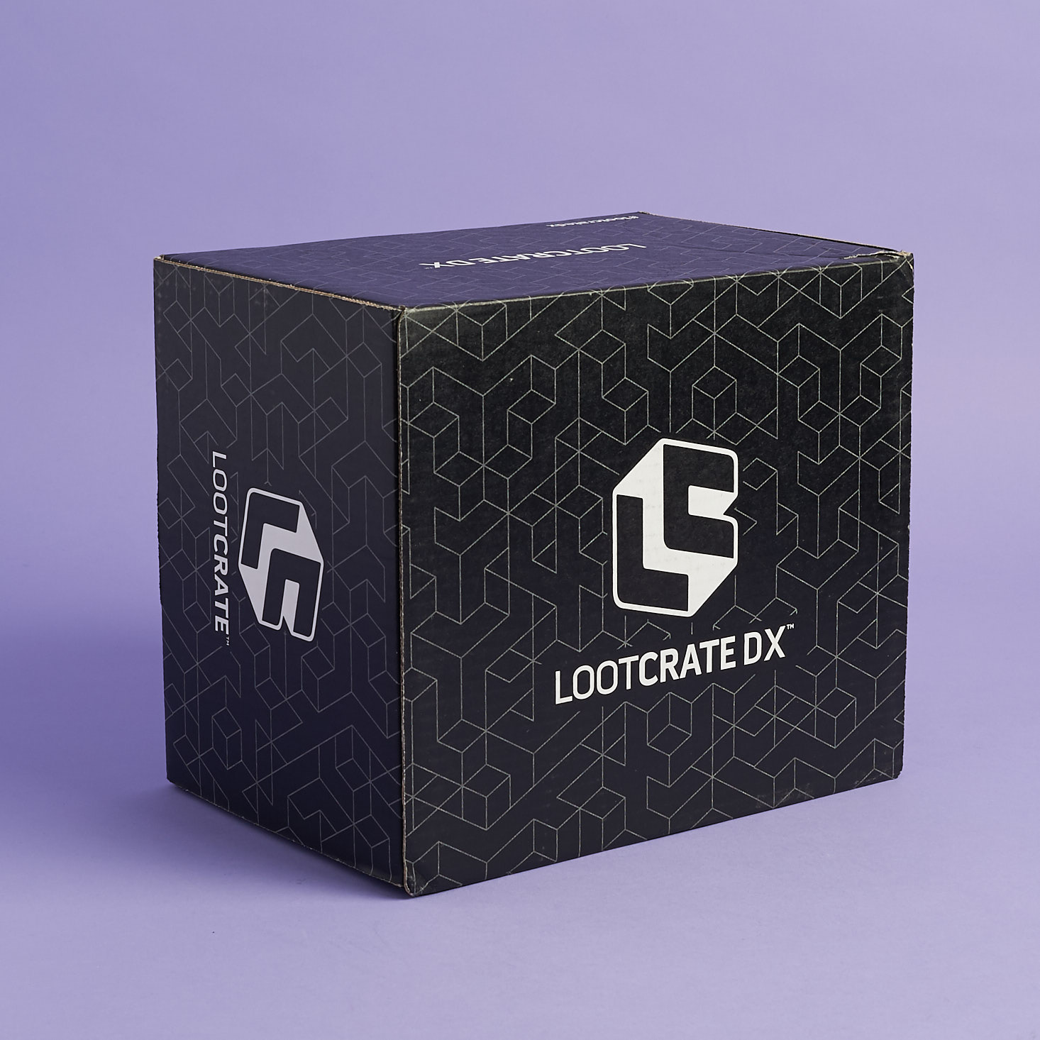 Loot Crate DX Subscription Box Review + Coupon – August 2017
