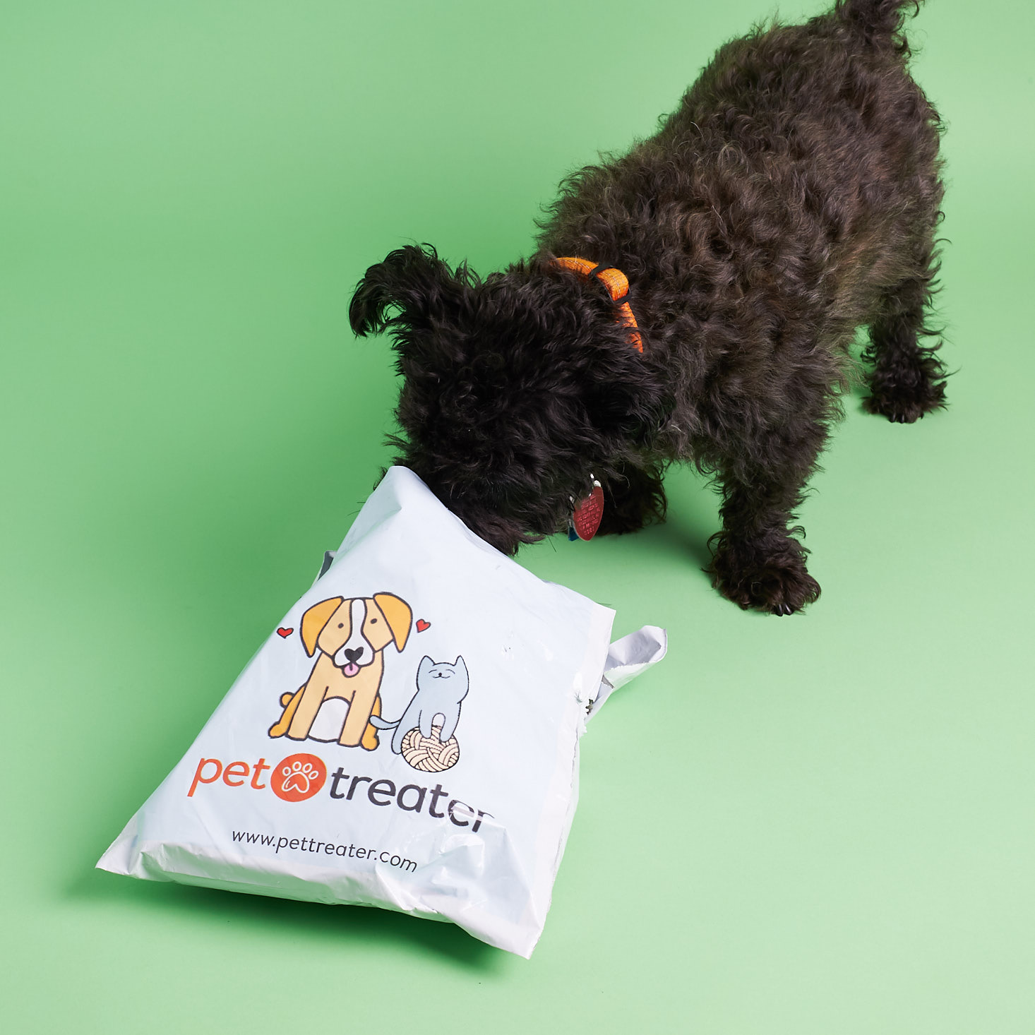 Mini Monthly Mystery Box For Dogs Subscription Review – September 2017