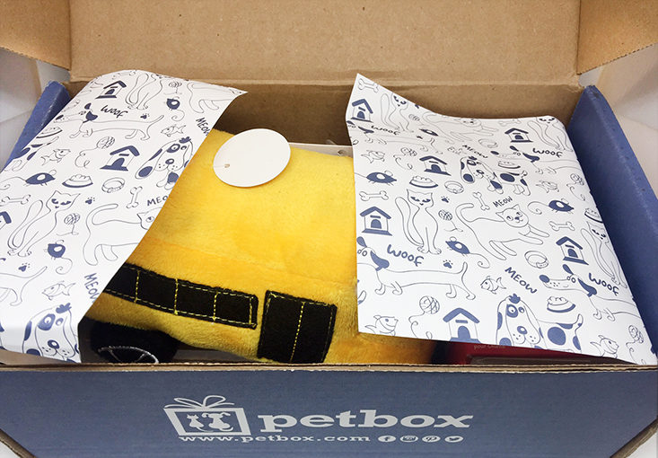 PetBox September 2017 Dog Subscription Box