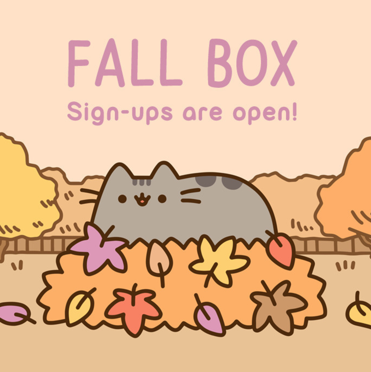 Pusheen Box Subscriptions Are Open! Fall 2017 Box Time!
