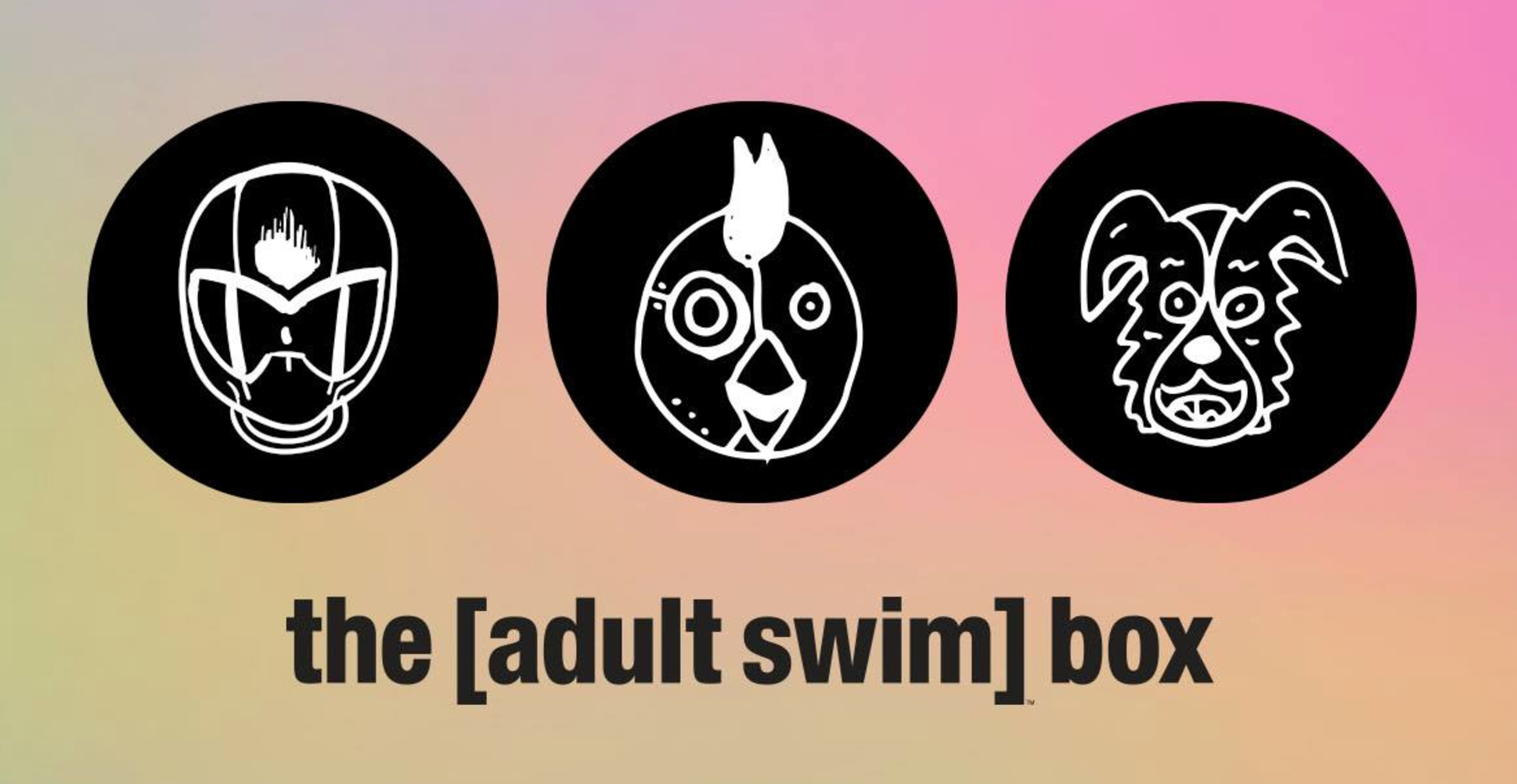 Adult Swim Box Fall 2017 Spoiler + 15% Off Your First Box!