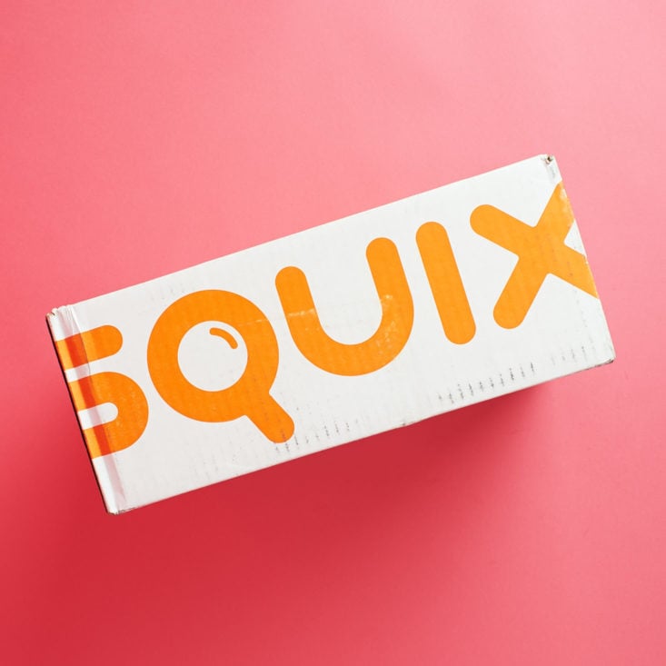 See the household supplies inside the October Squix Introductory subscription box!