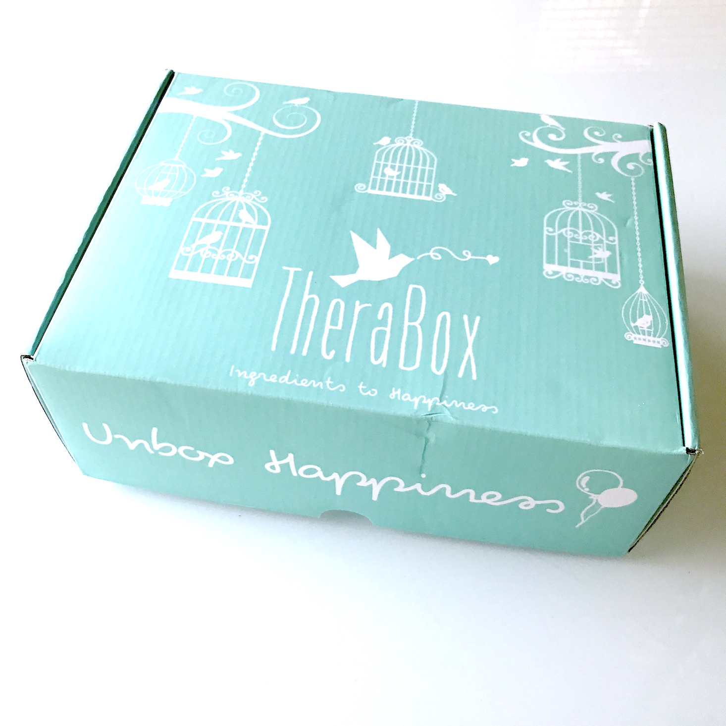 Therabox Subscription Box Review + Coupon – July 2017