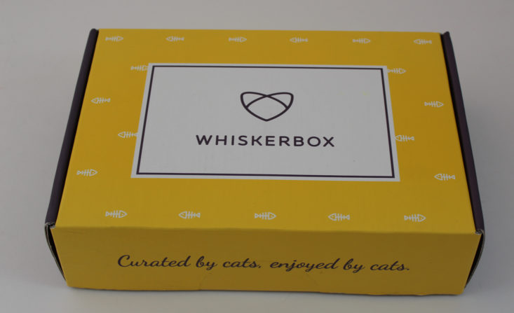 Whiskerbox September 2017 Cat Subscription Box
