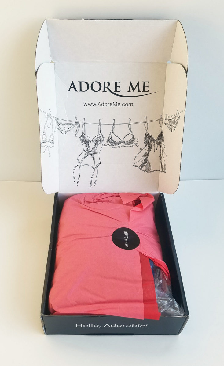 Adore Me September 2017 Plus Intimates Subscription Box