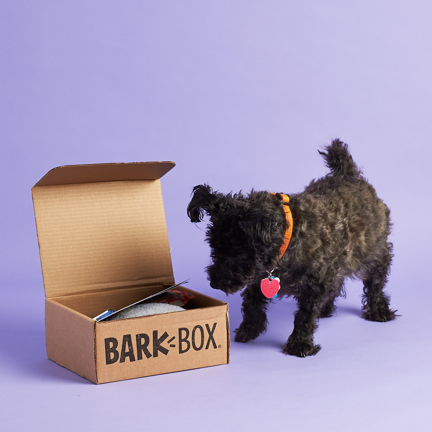 BarkBox Subscription Box Review + Coupons – October 2017