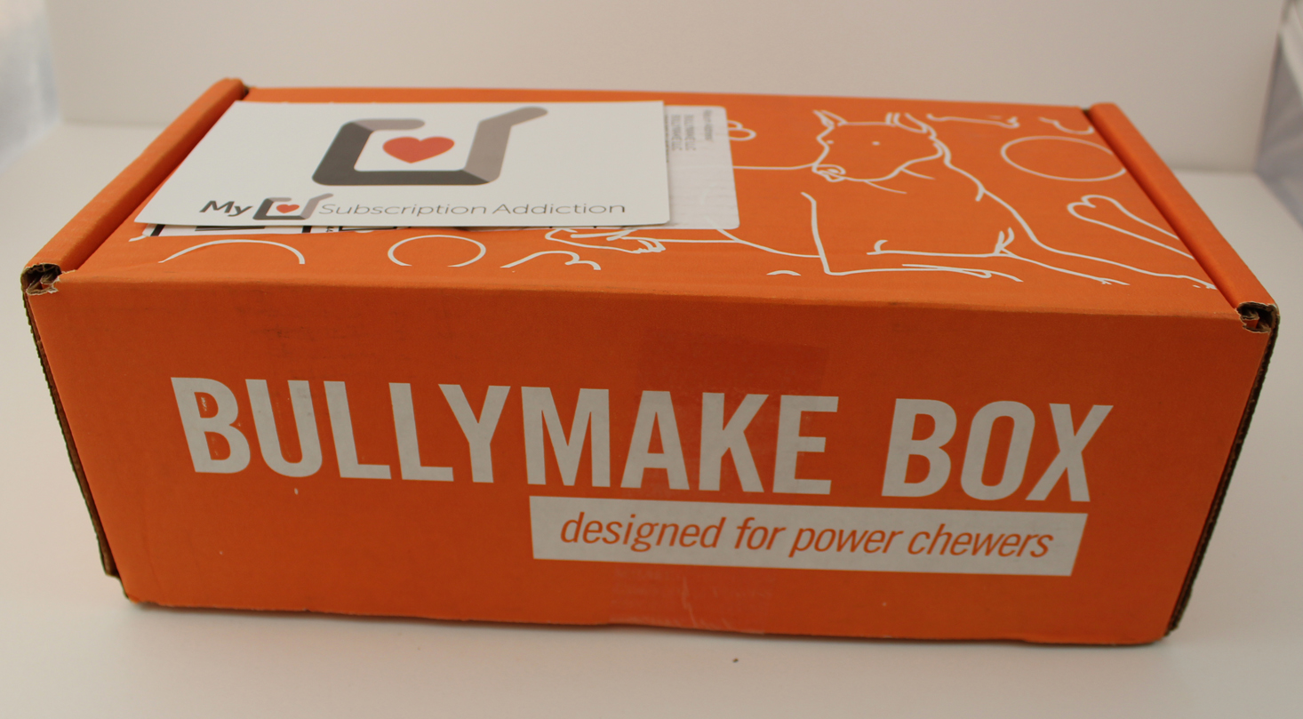 Bullymake Box Subscription Review + Coupon – October 2017