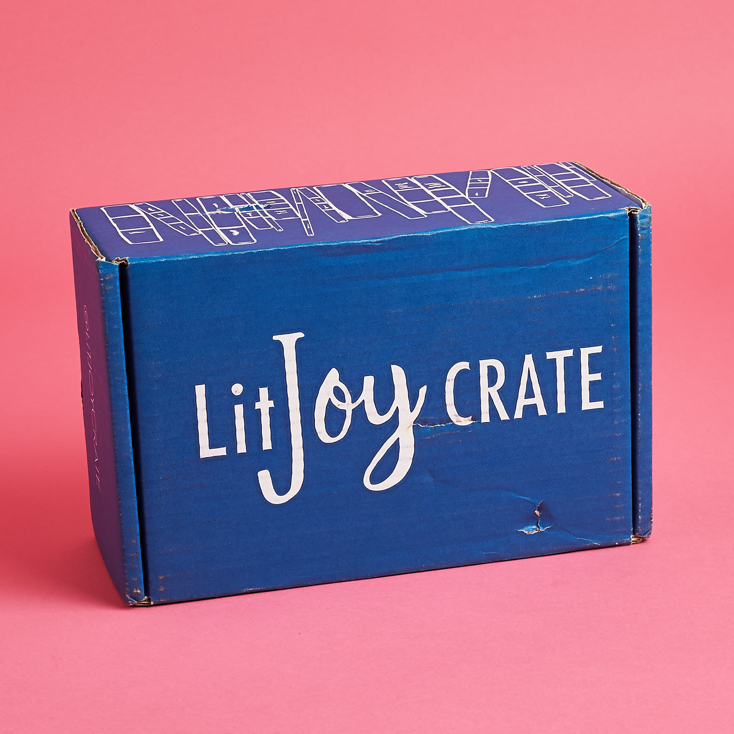 LitJoy Crate YA Subscription Box Review – September 2017