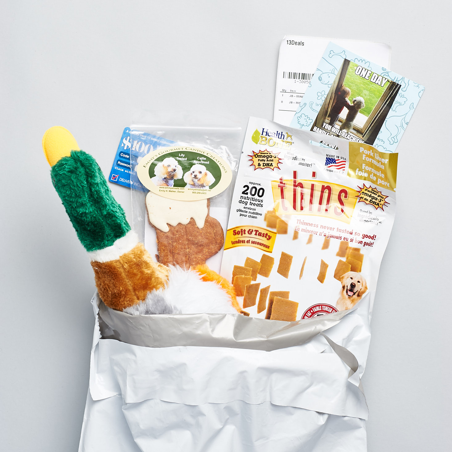 Mini Monthly Mystery Box For Dogs Subscription Review – October 2017