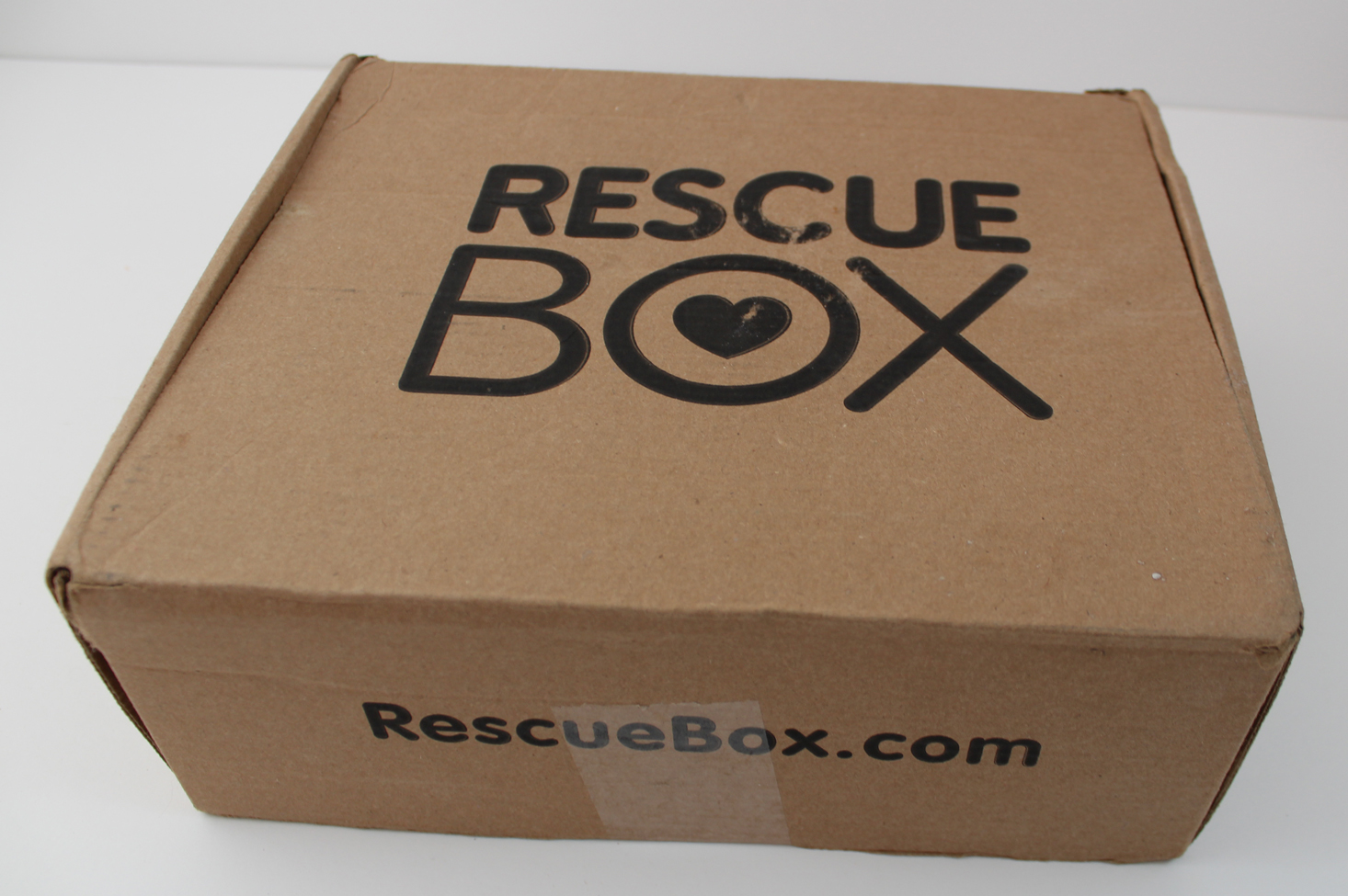 RescueBox Dog Review + 50% Off Coupon – October 2017