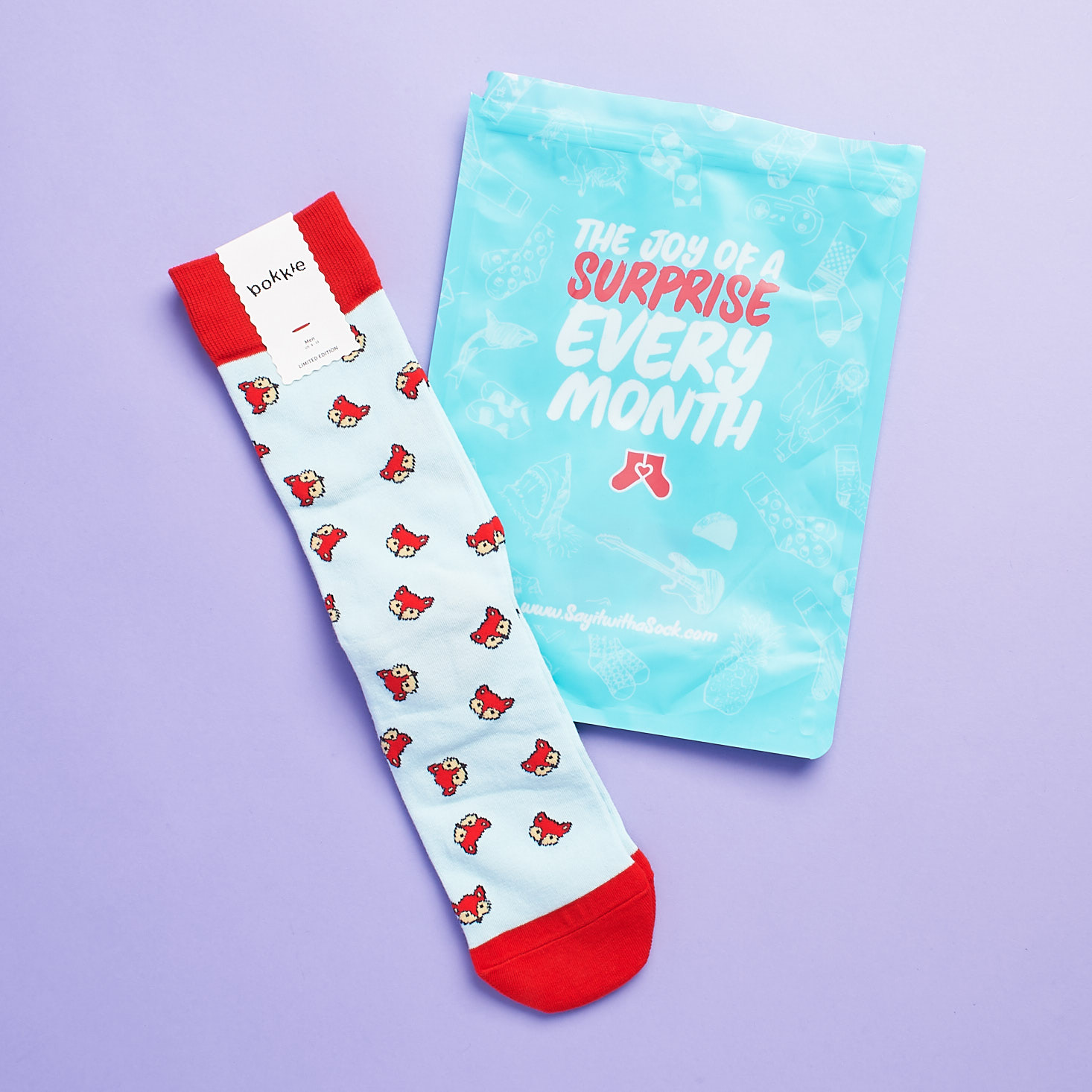 Say It With A Sock Men’s Box Review + Coupon – October 2017
