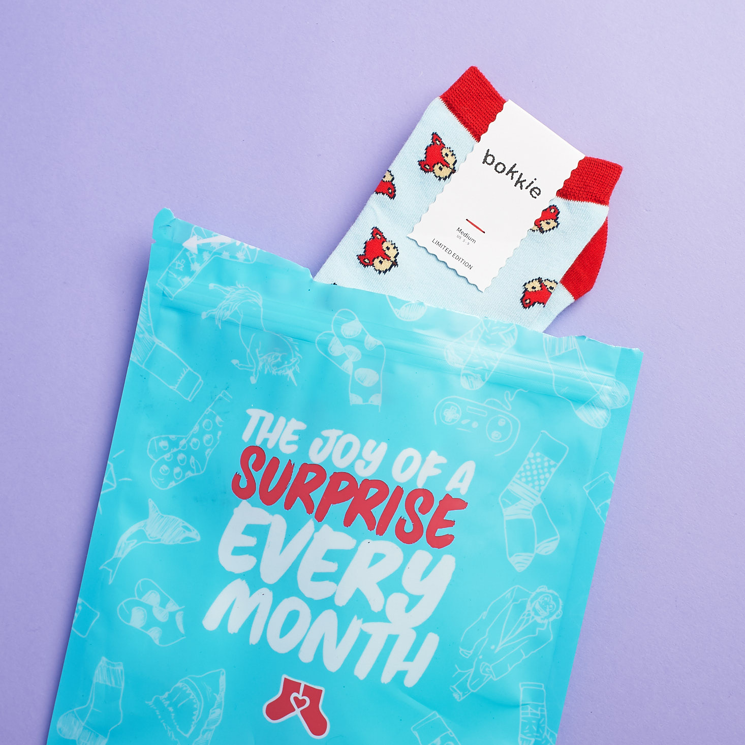 Say It With A Sock Subscription Women’s Review + Coupon – October 2017