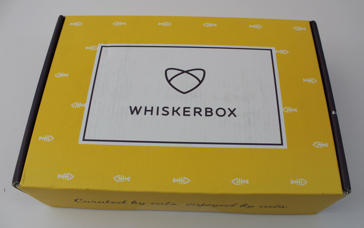 Whiskerbox Subscription Review + Coupon – October 2017