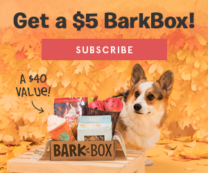Last Day! BarkBox Coupon – First Box for Only $5!