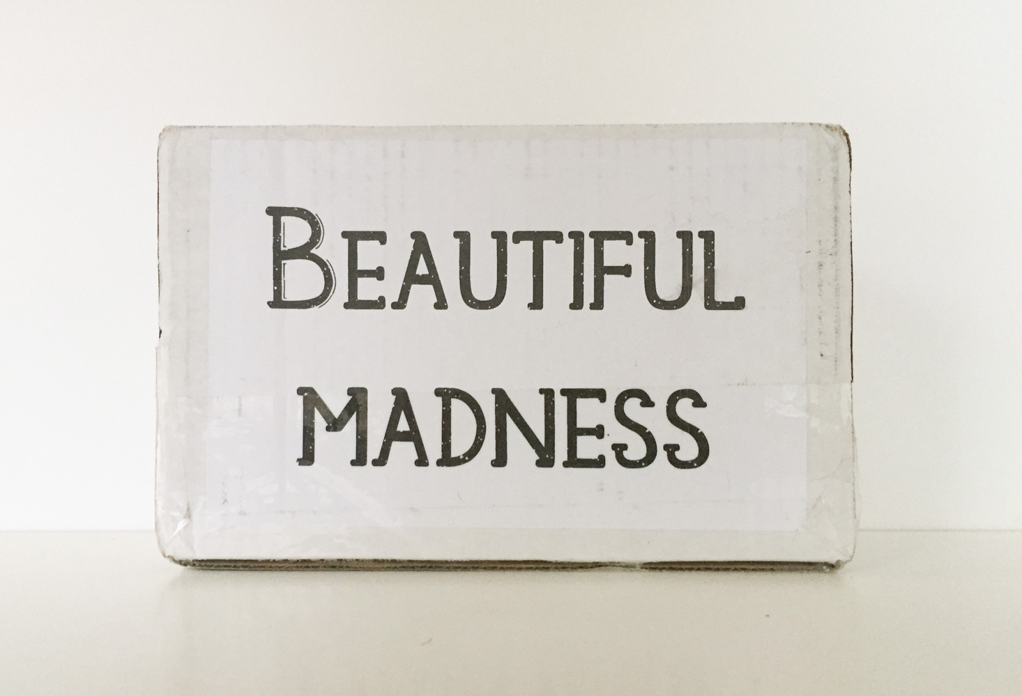 Beautiful Madness Book Case Review + Coupon – October 2017