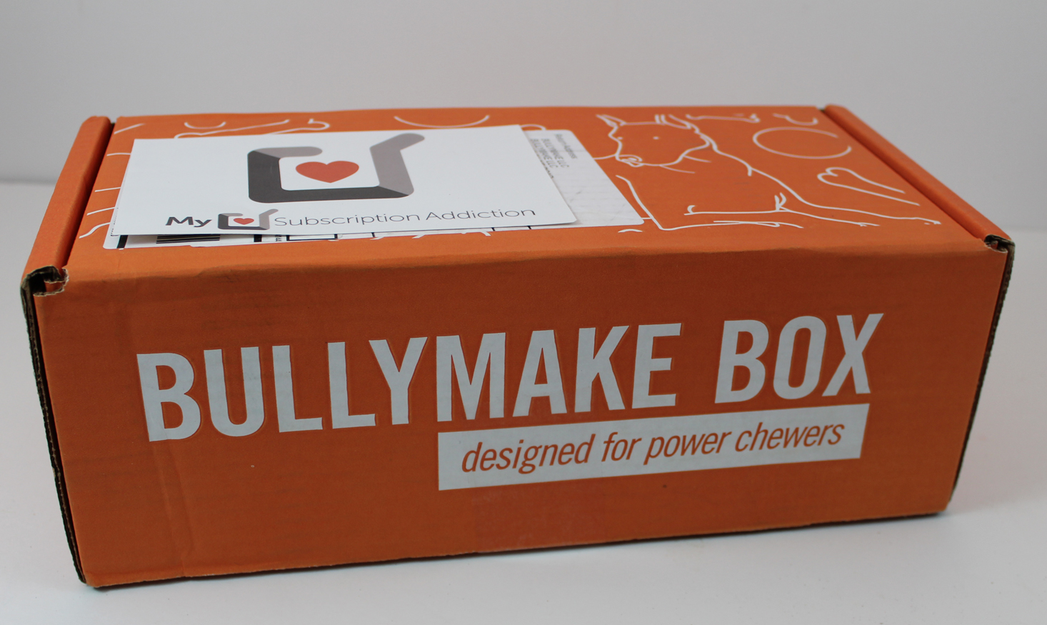 Bullymake Box Subscription Review + Coupon – November 2017