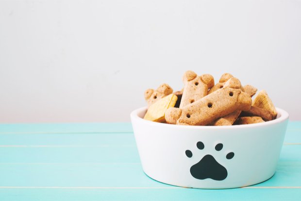 New Amazon Dog Food + Treat Sample Box – FREE After Credit!