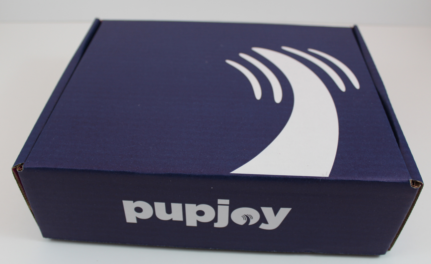 Pupjoy Dog Subscription Box Review + Coupon – October 2017