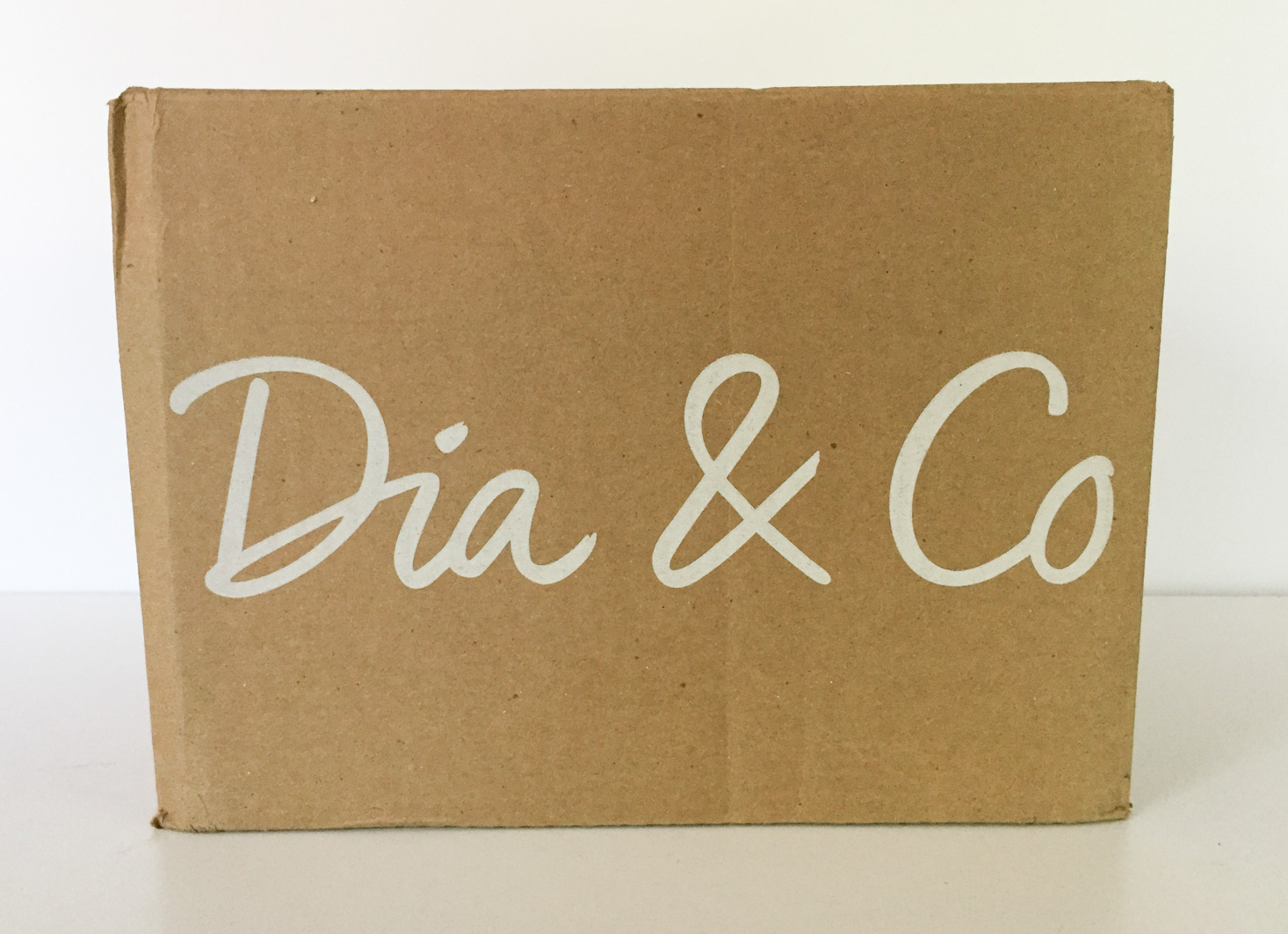 Dia & Co. Plus Size Clothing Subscription Review – November 2017