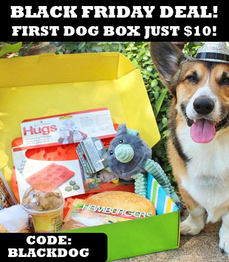 Pet Treater Cyber Monday Deal – Dog Box For $10 and Cat Pack For $5!