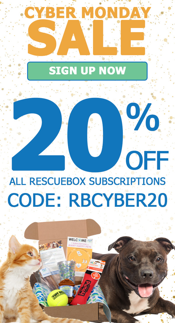 RescueBox Cyber Monday Sale – 20% Off Subscriptions!