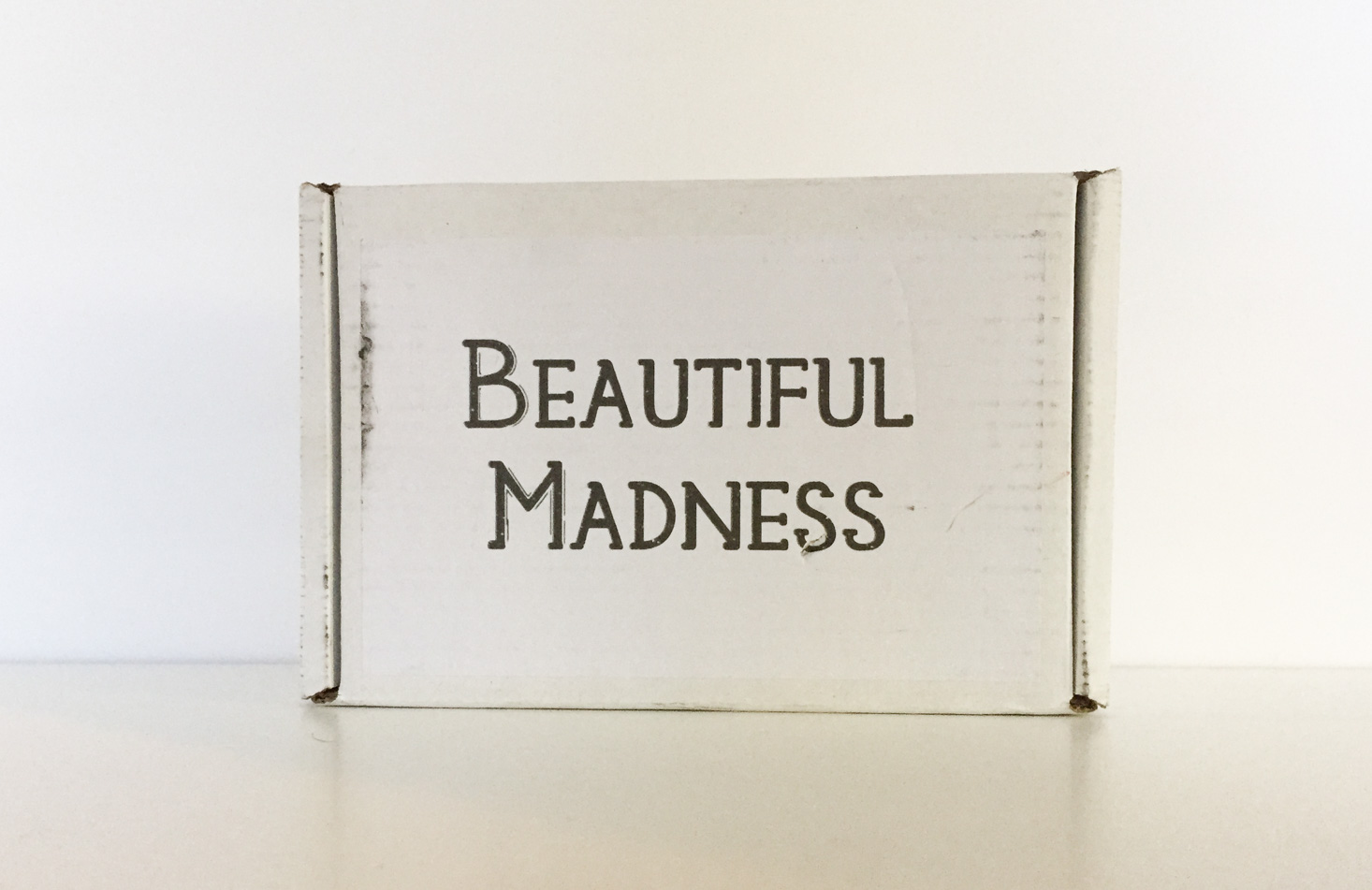 Beautiful Madness Book Case Review + Coupon – November 2017