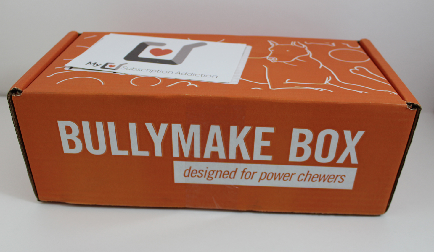 Bullymake Box Subscription Review + Coupon – December 2017