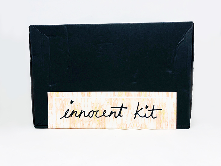 Innocent Kit Craft Subscription Review – November 2017
