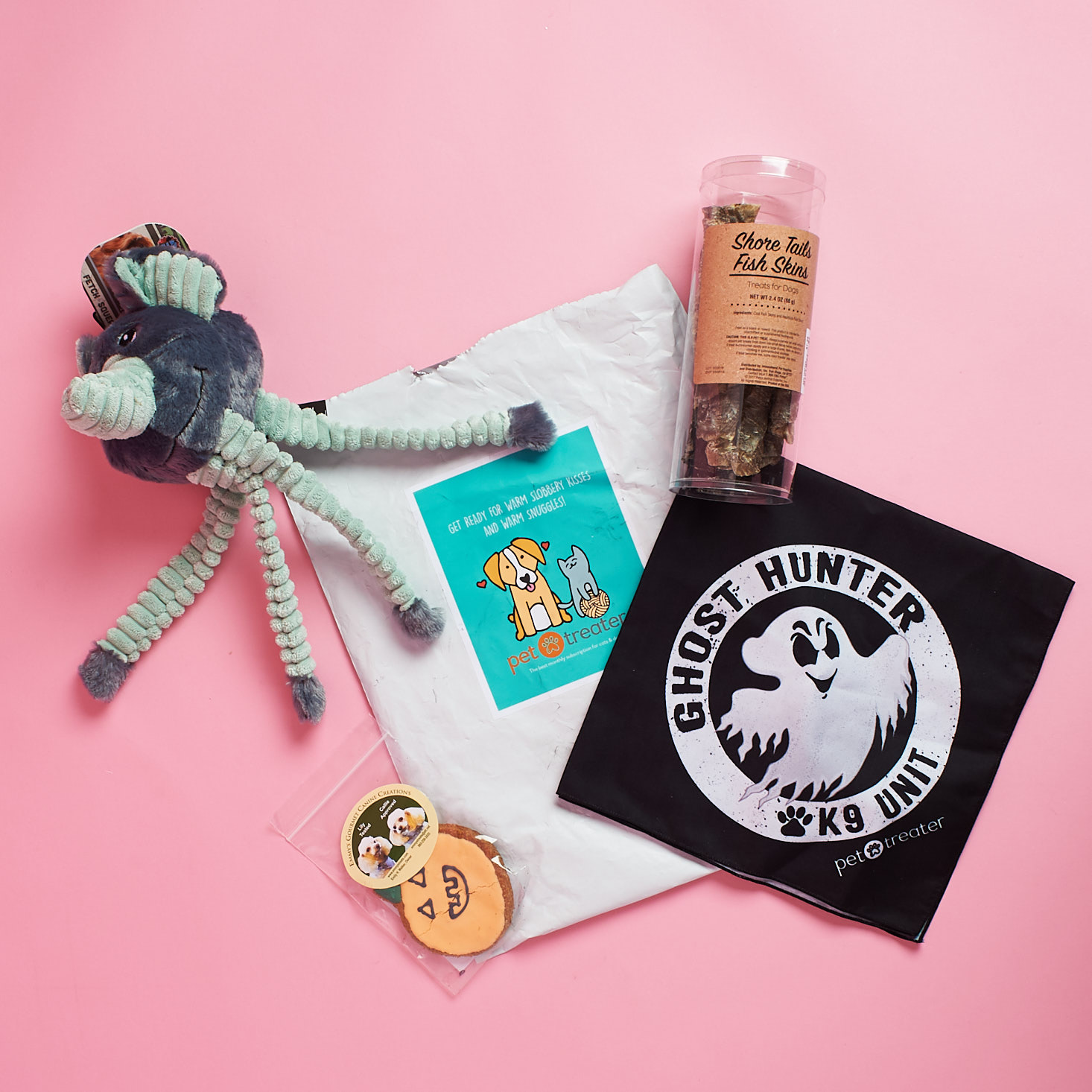 Mini Monthly Mystery Box For Dogs Subscription Review – November 2017