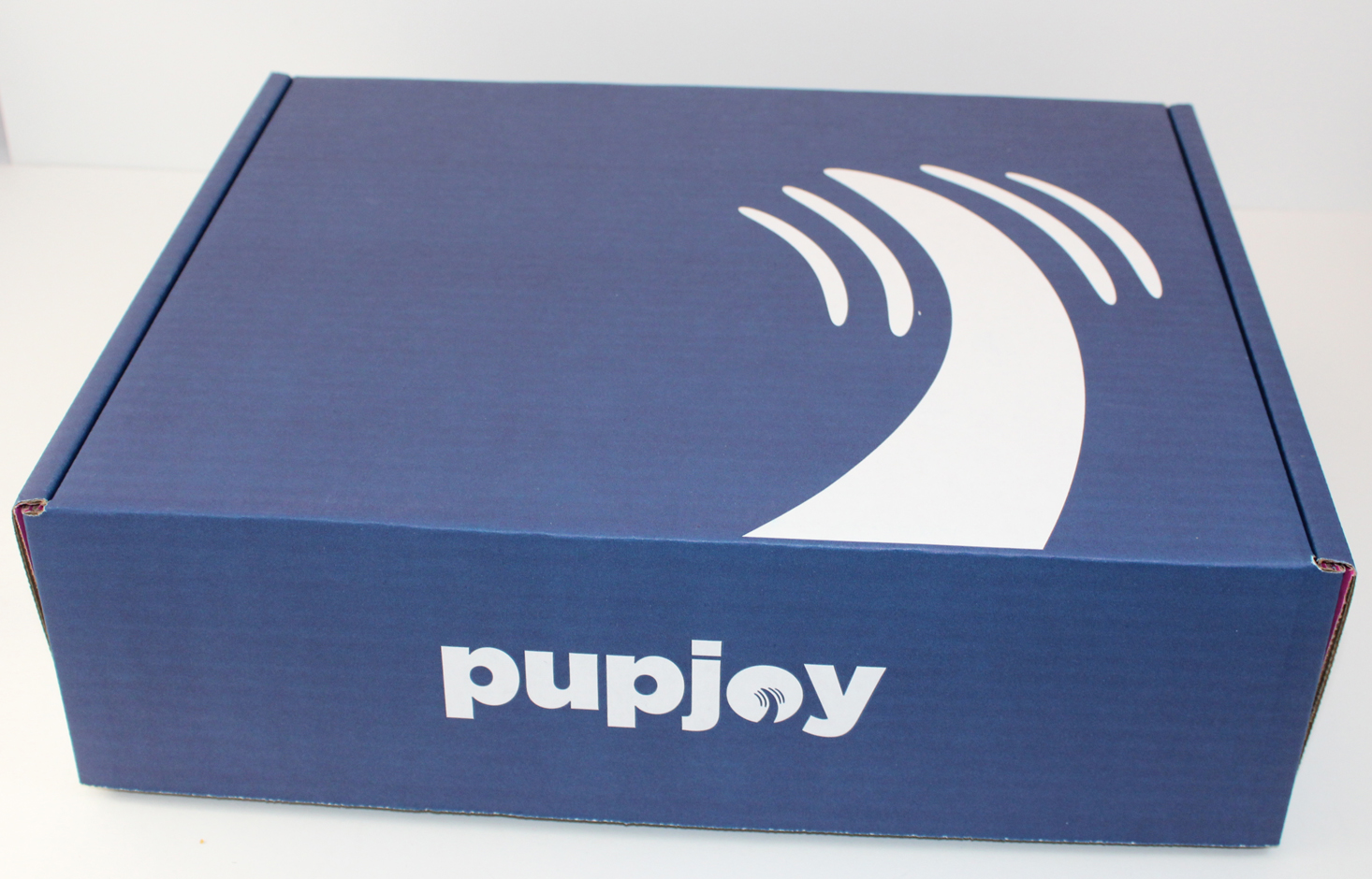 Pupjoy Dog Subscription Box Review + Coupon – November 2017