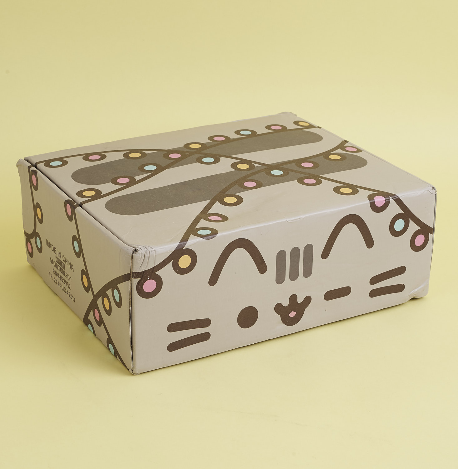 Pusheen christmas 2024 surprise box