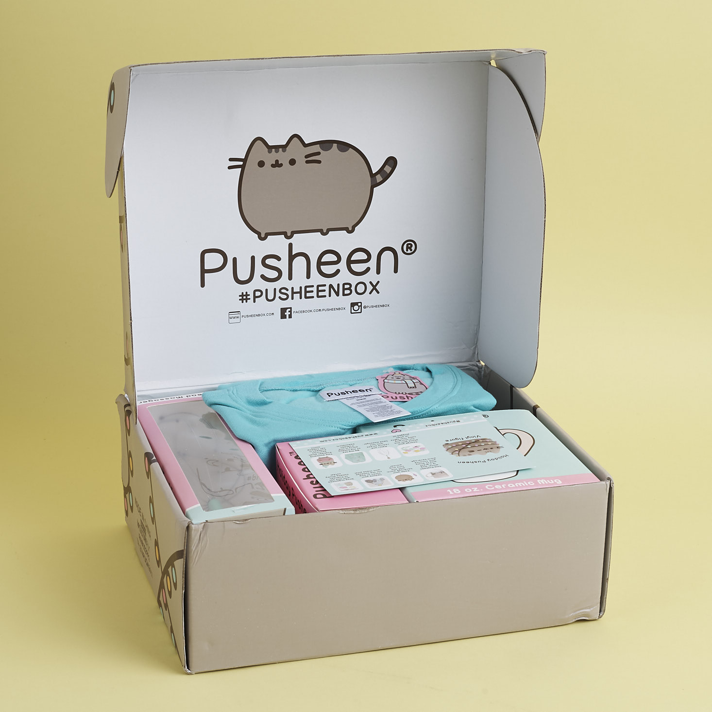 Pusheen Box Subscription Review - Winter 2017 | MSA