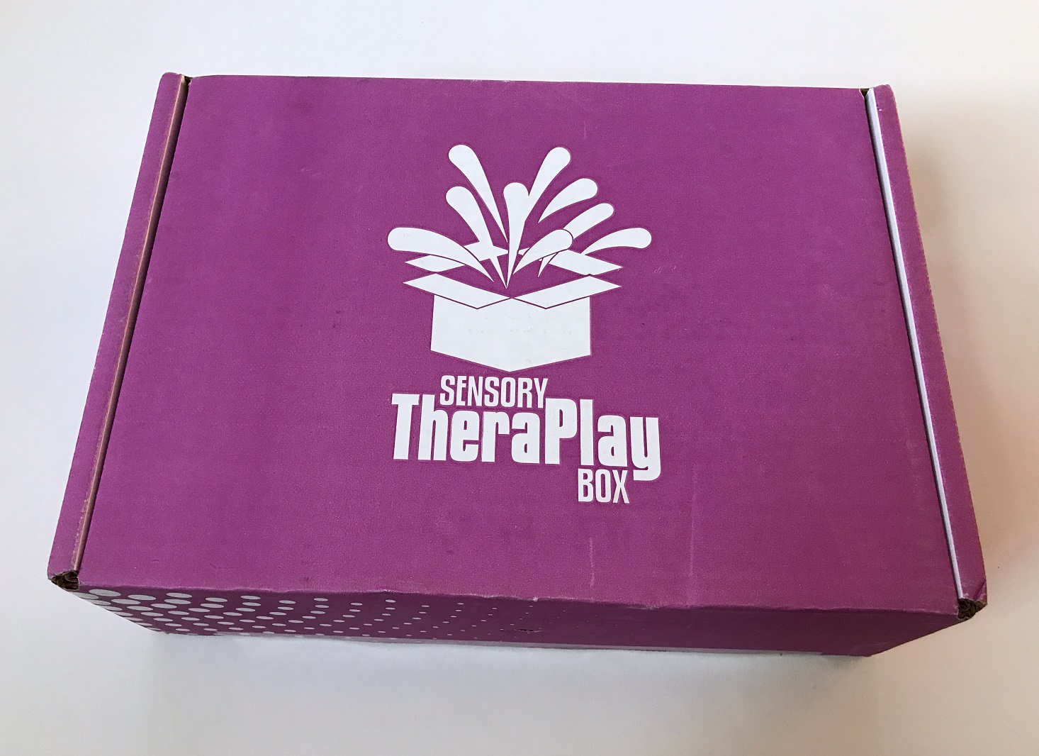 Sensory TheraPlay Box Review + Coupon – December 2017
