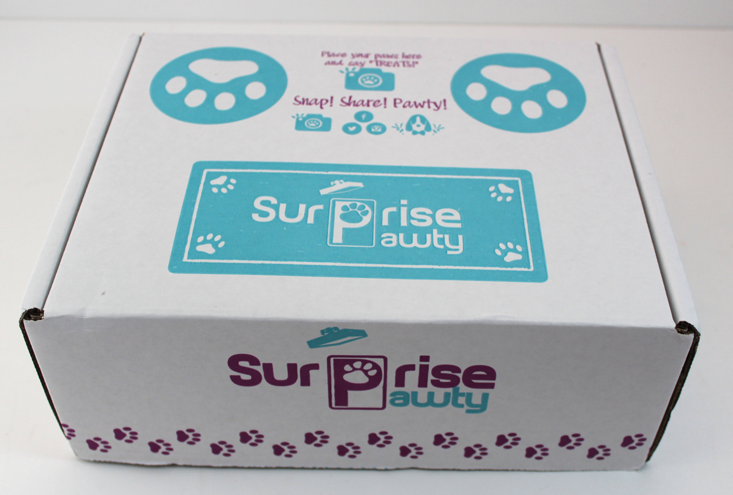 Surprise Pawty Dog Box Review + Coupon – December 2017