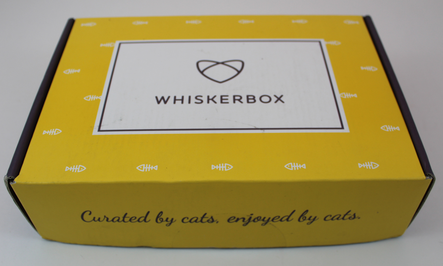 Whiskerbox Subscription Review + Coupon – November 2017