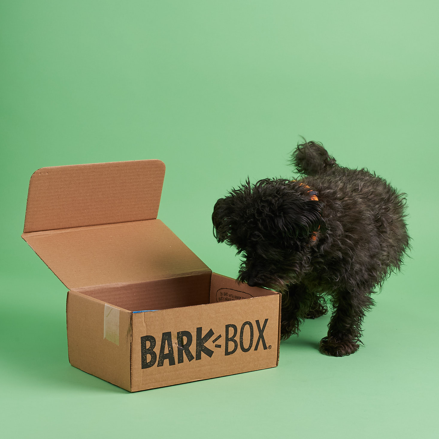 BarkBox Subscription Box Review + Coupon – January 2018