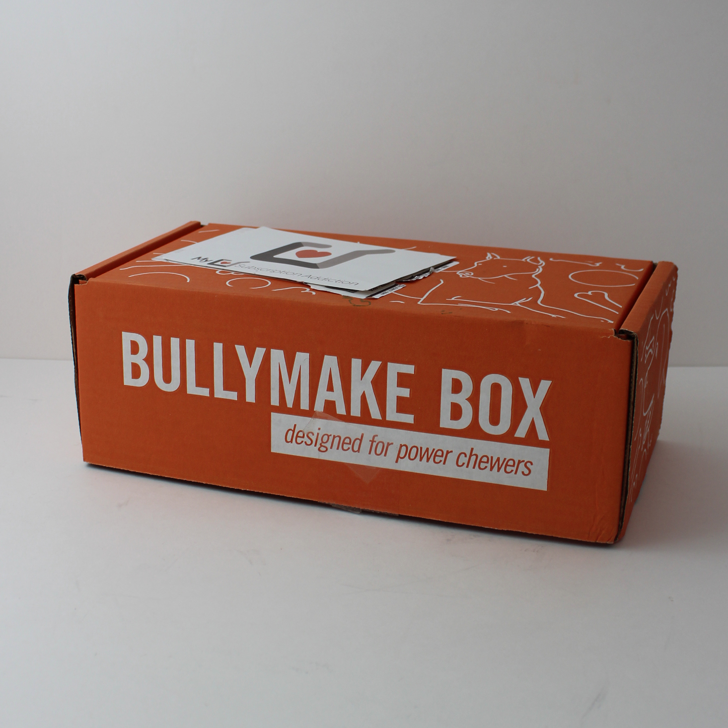 Bullymake Box Subscription Review + Coupon – January 2018