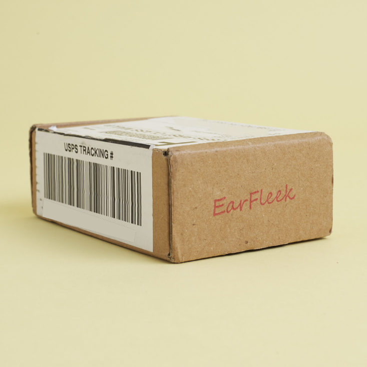 NEW EarFleek Premier Tier Minimalist Earrings Review – January 2018