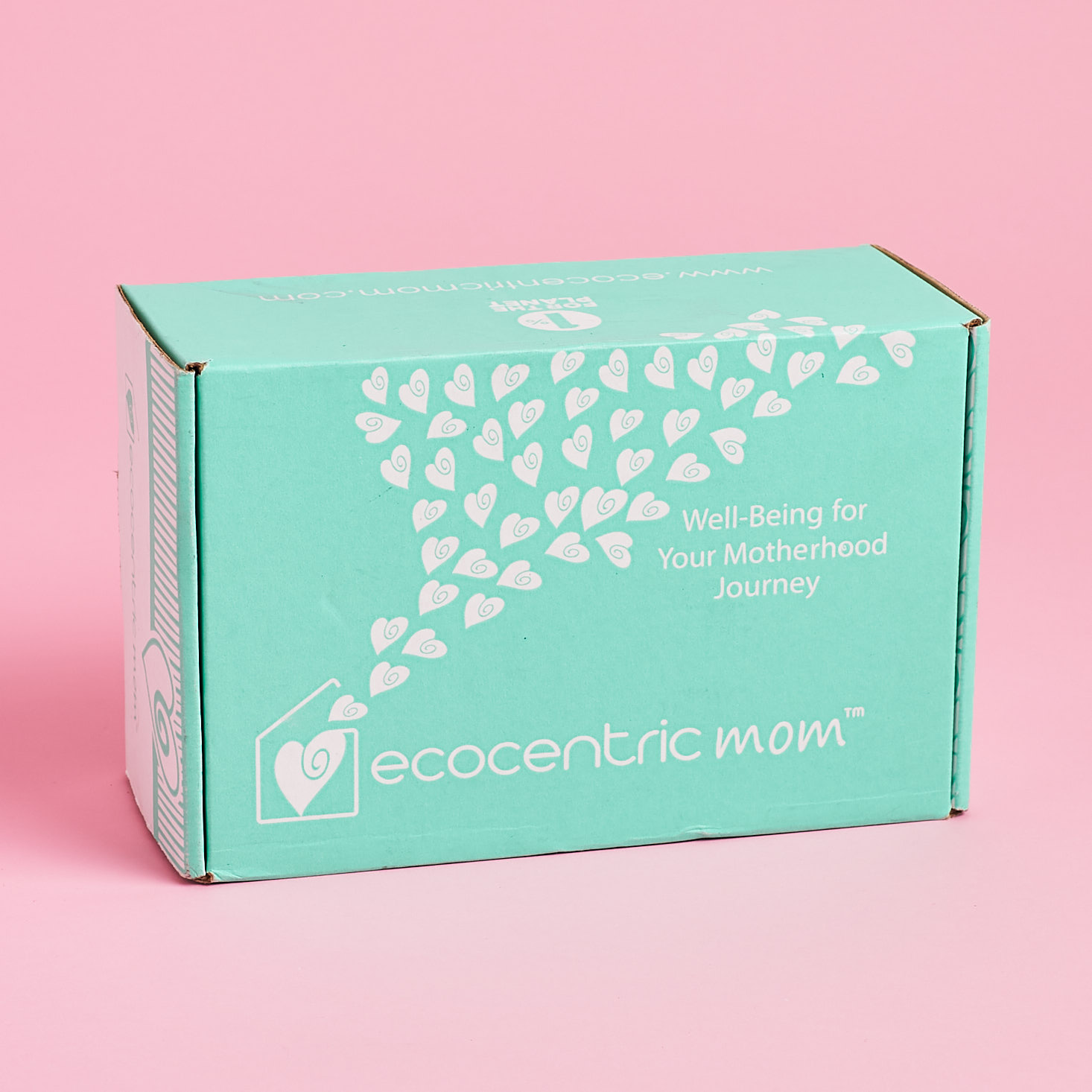 Ecocentric Mom & Toddler Box Review + Coupon – January 2018