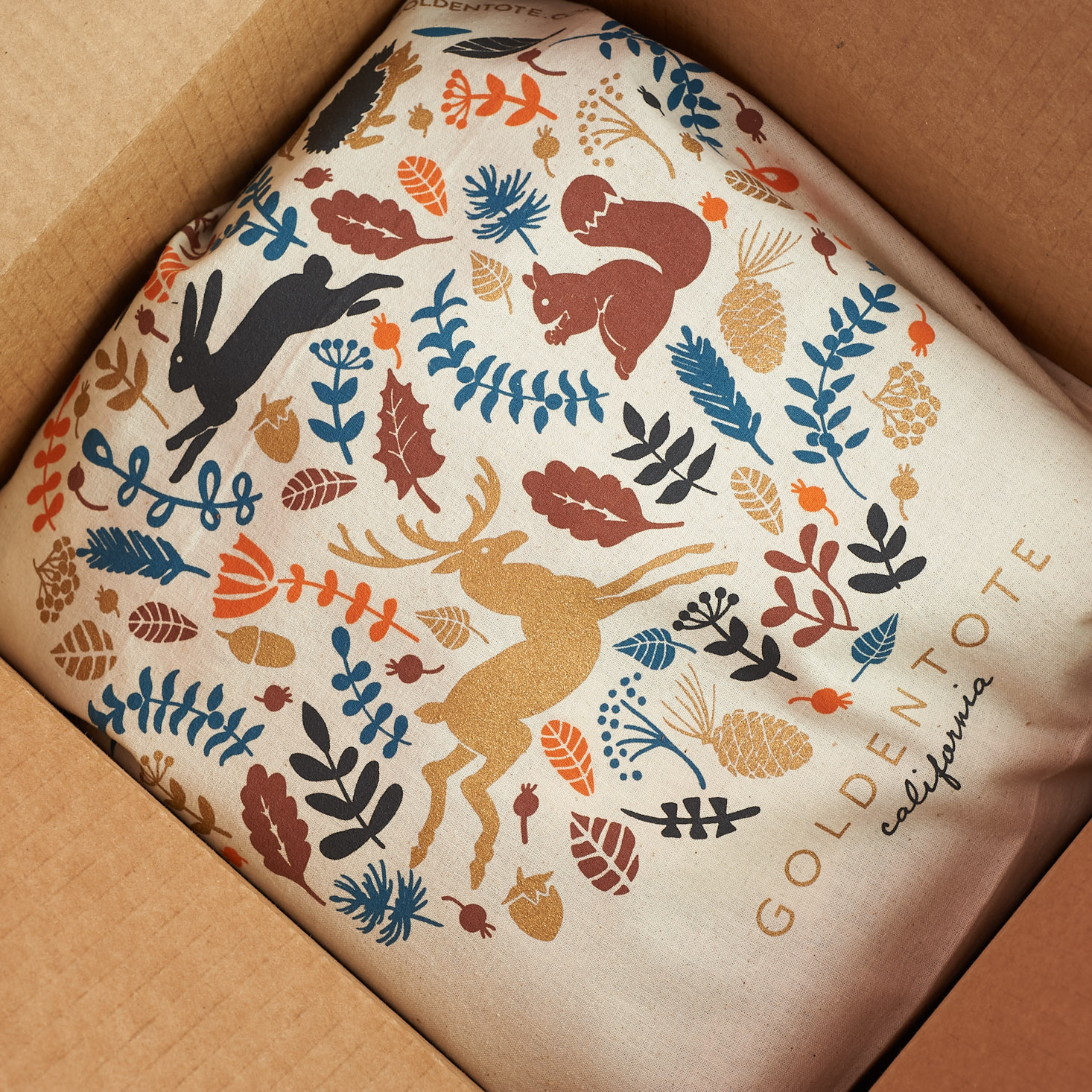 Golden Tote $149 Clothing Tote Review – December 2017