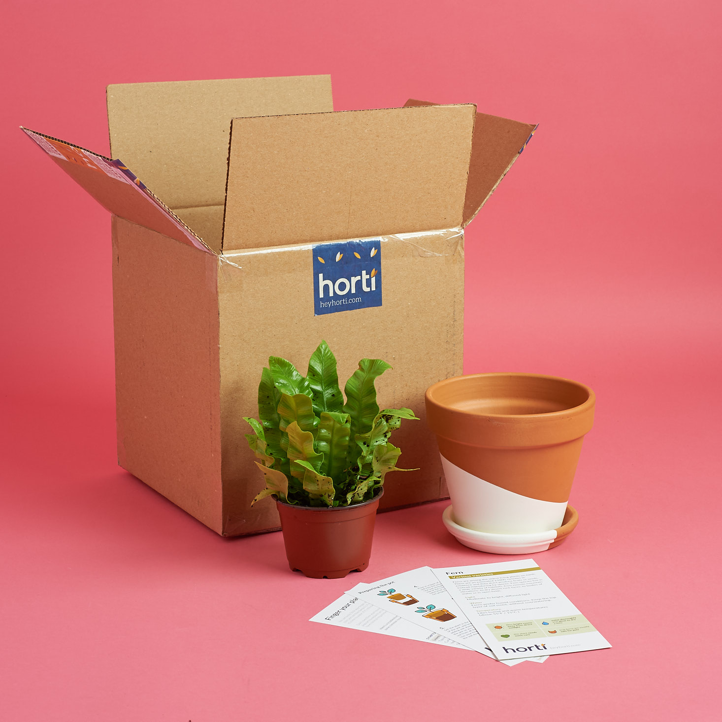 Horti Houseplant Subscription Review – January 2018