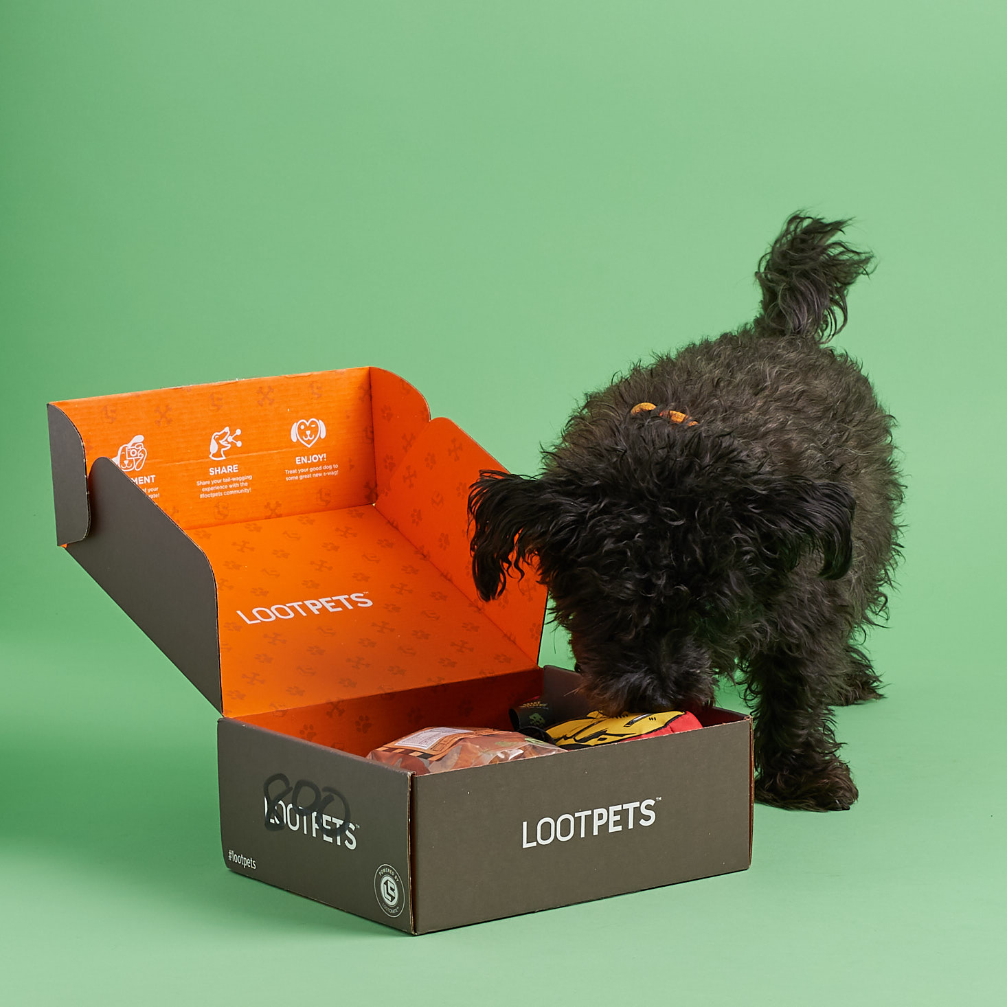 Loot Pets by Loot Crate Subscription Box Review – December 2017