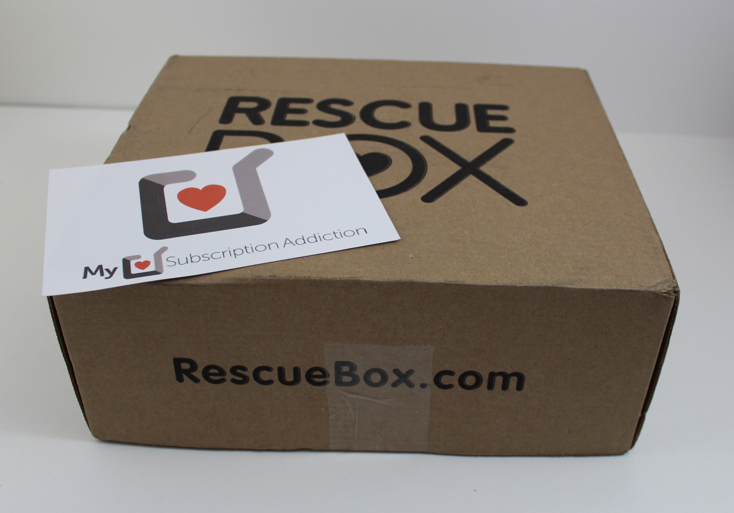 RescueBox Dog Review + 50% Off Coupon – December 2017