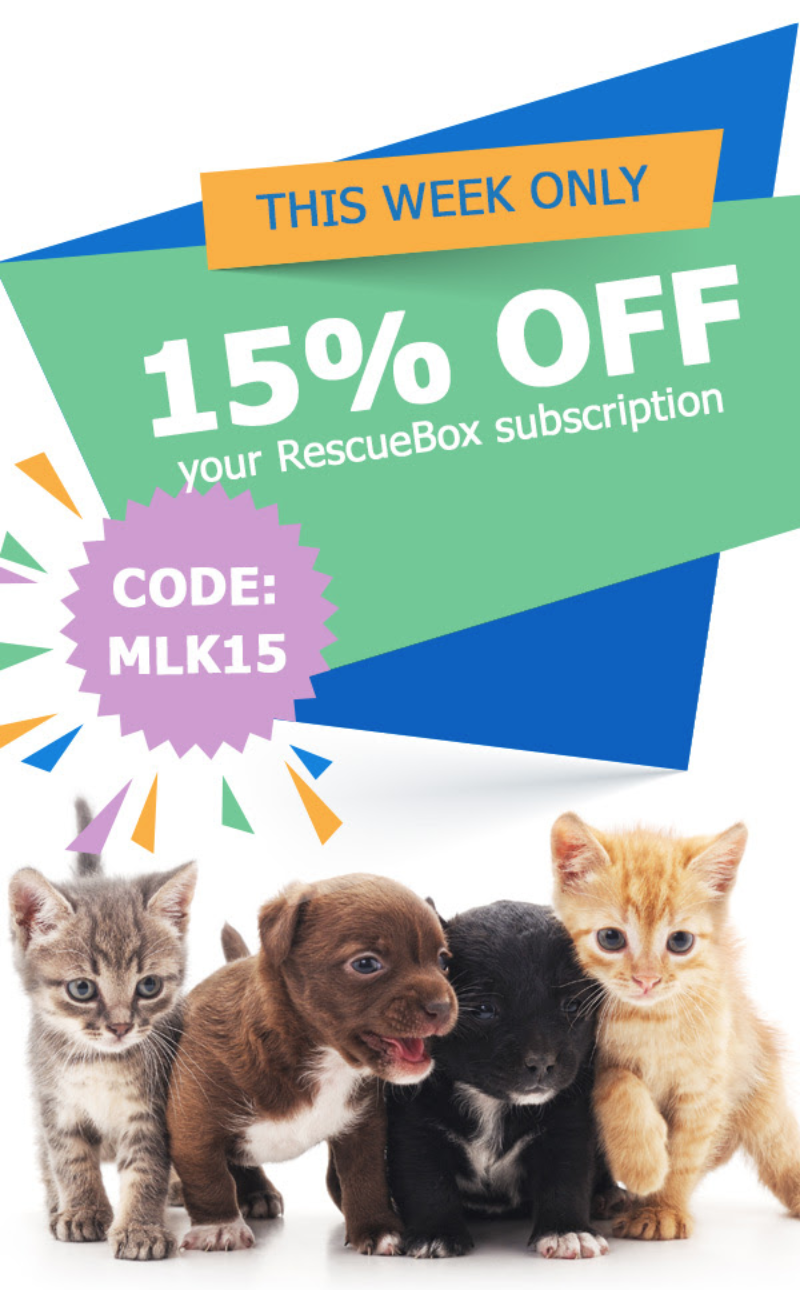 RescueBox Coupon – 15% Off Subscriptions!