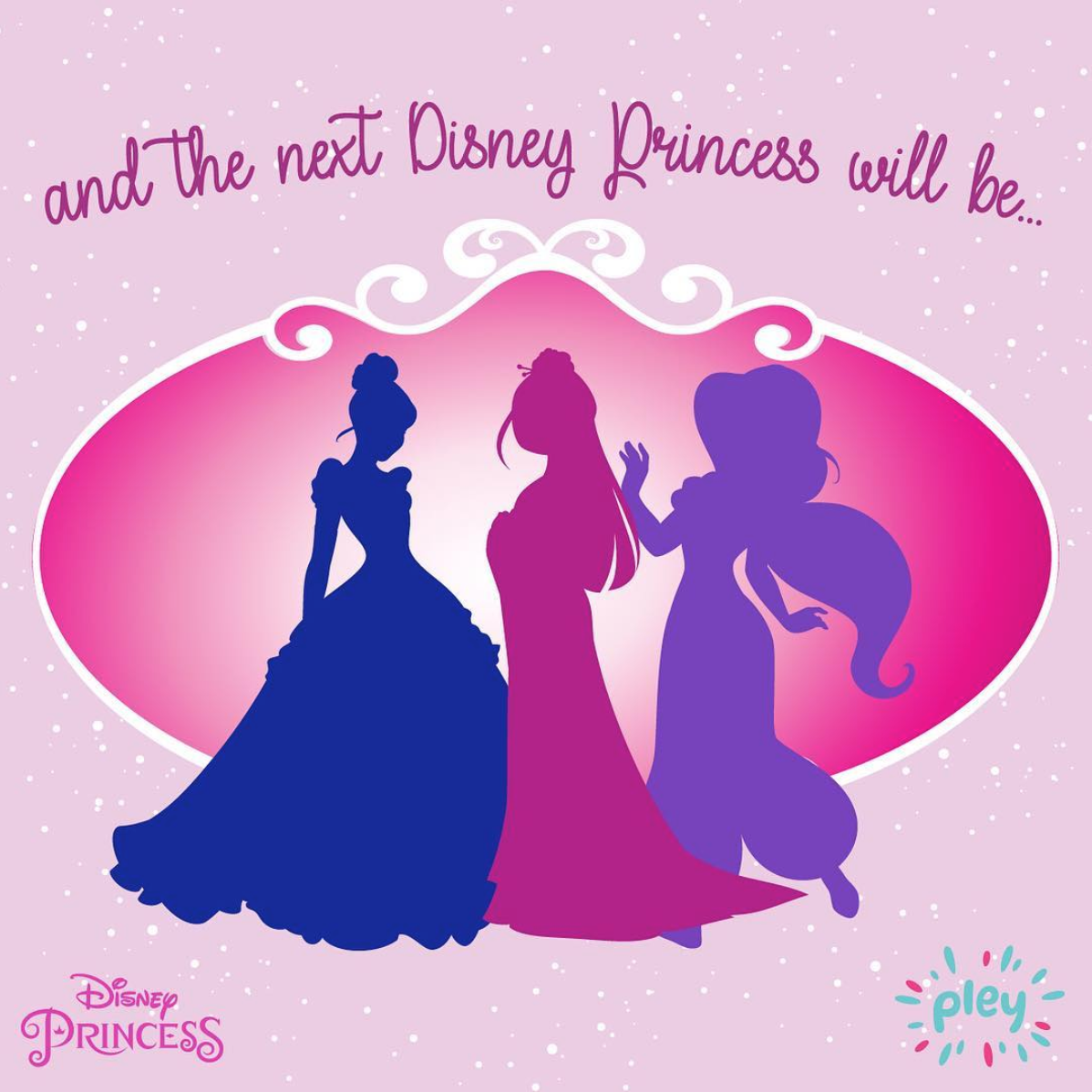 FYI – Disney Princess Pley Box January 2018 Shipping Delay