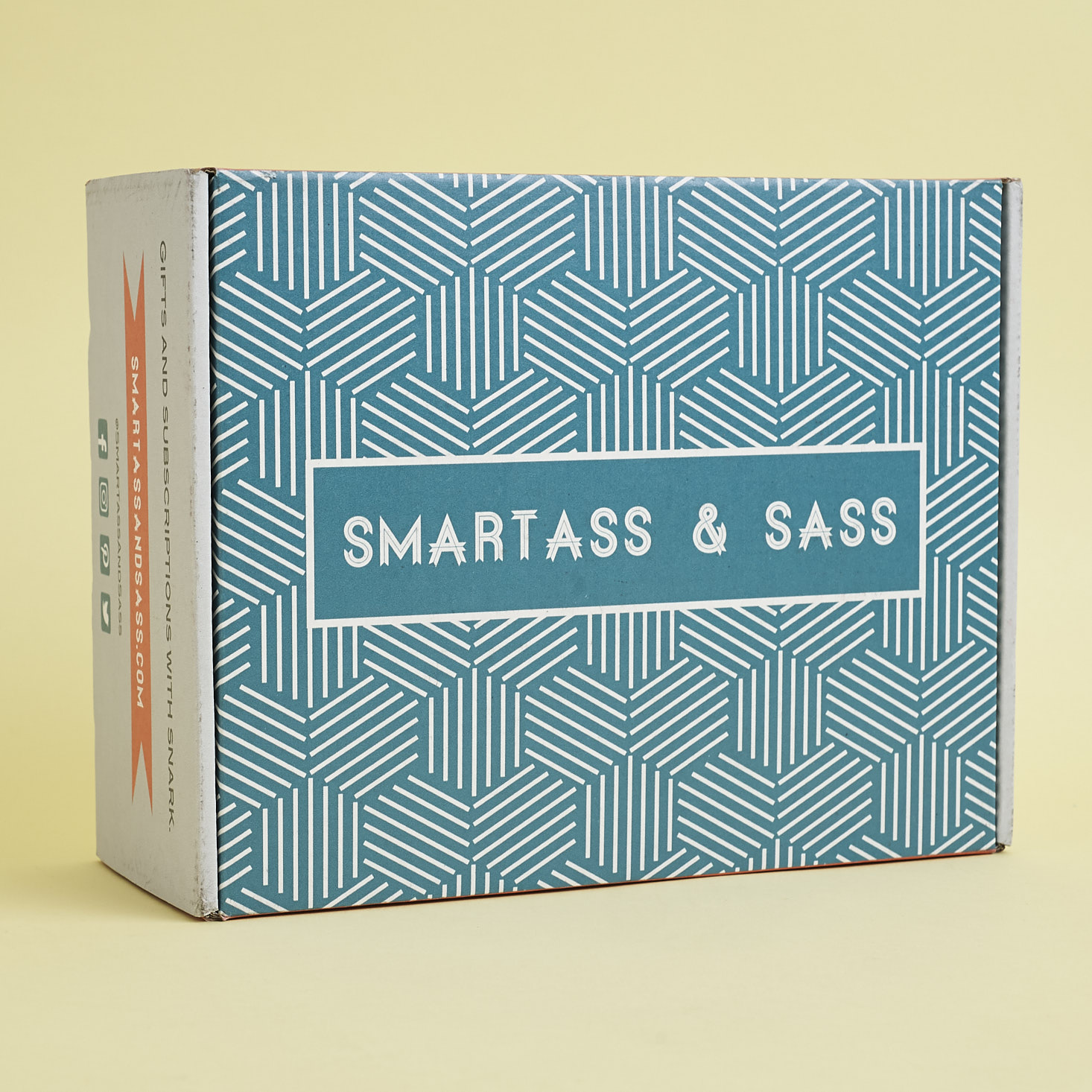 Smartass and Sass Subscription Box Review + Coupon – December 2017 (NSFW)