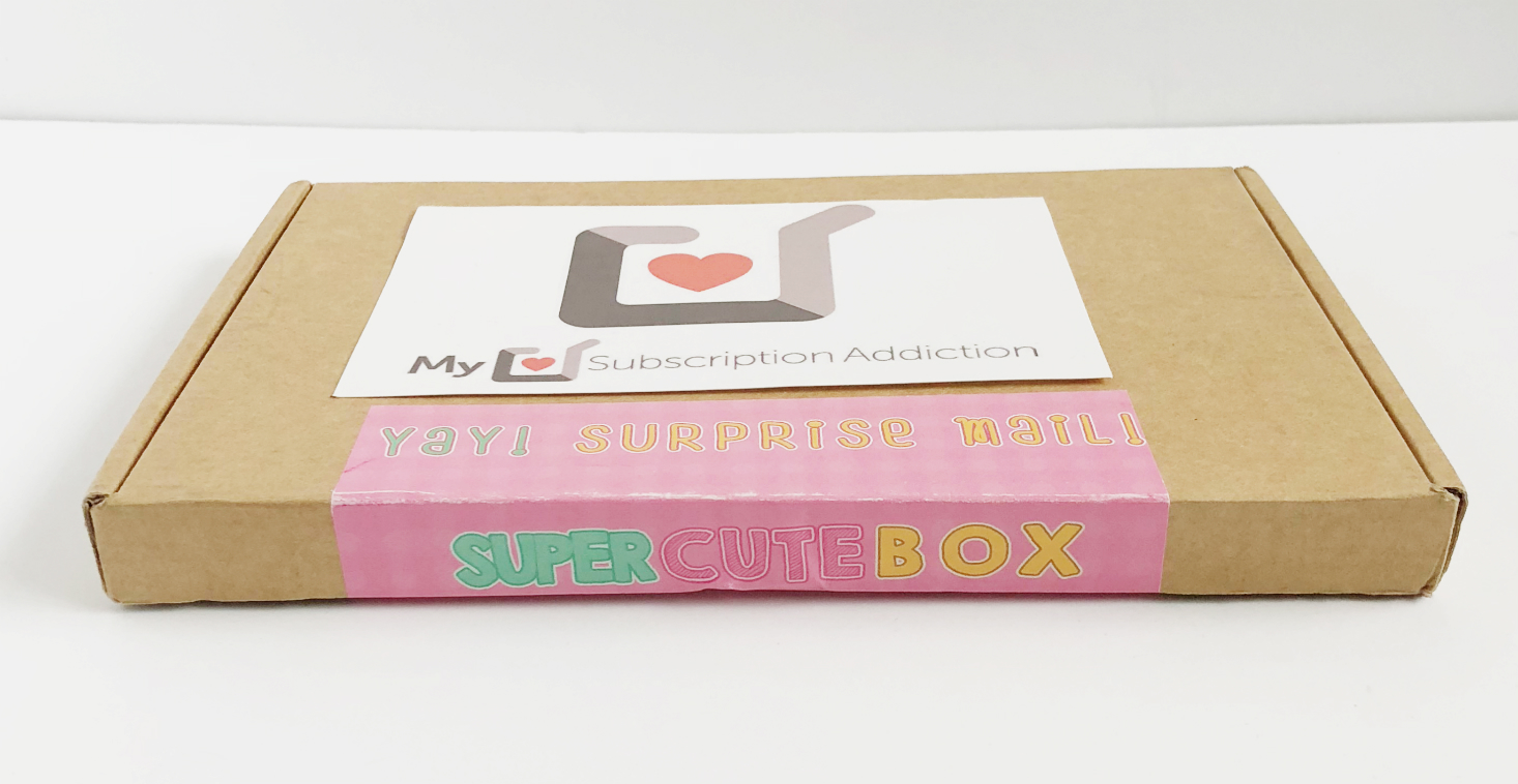 Super Cute Box Subscription Review – December 2017