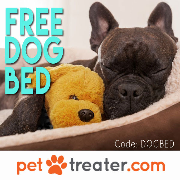 Pet Treater Dog Box Coupon – Free Dog Bed With Subscription